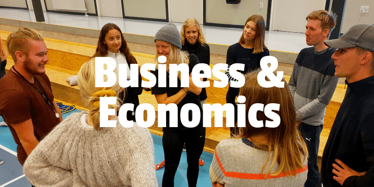 Vi søger en højskolelærer til Business & Economics